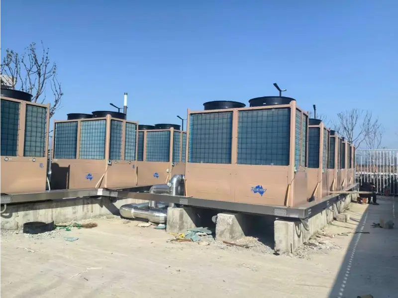 ກໍລະນີໂຄງການສູນກິລາ Wenzhou: ສະຫນາມກິລາ Wenzhou